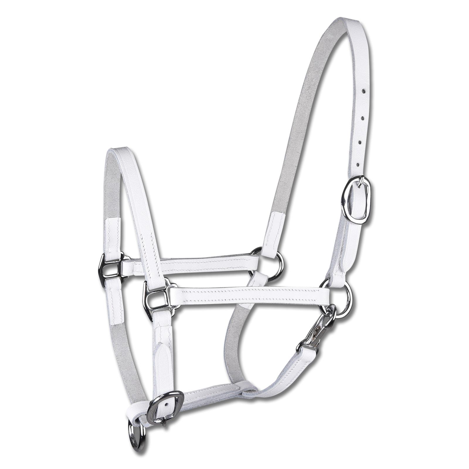 product/s/t/star_50436202-wb_blanc_1.jpg