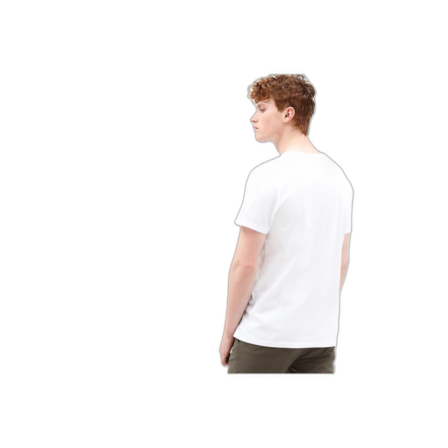 product/t/i/timberland_tb0a2c2r-white_2.jpg