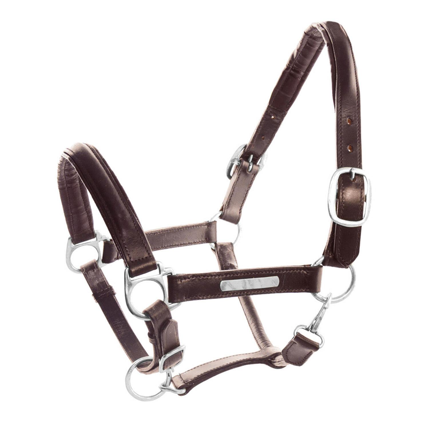 product/u/m/umbria-equitazione_ca00061-darkbrown_darkbrown_1.jpg