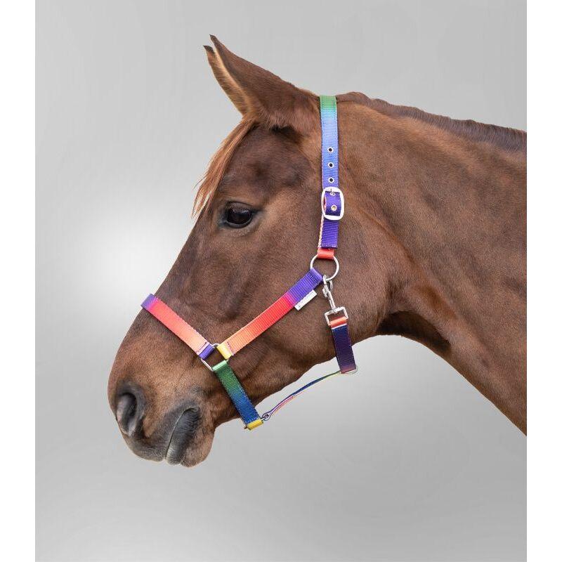 product/w/a/waldhausen_501099-vb_neon-multicolor_2.jpg