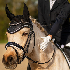 Accessoires pour cheval