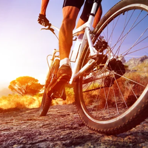 Vélos