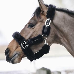 Cheval