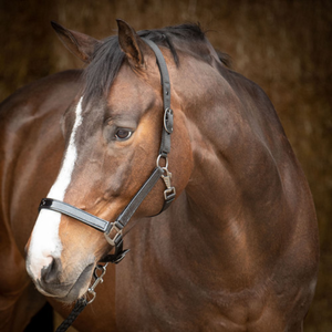 Licols / Longes