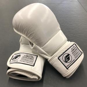 Gants de Jiu-Jitsu