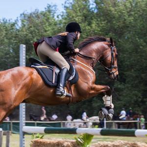 Equitation