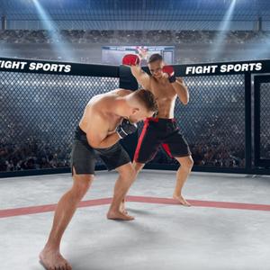 MMA