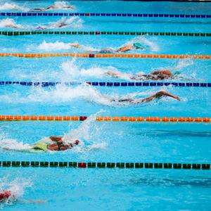 Natation