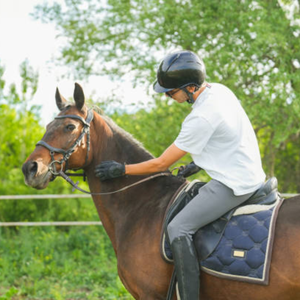 Pantalons d'équitation