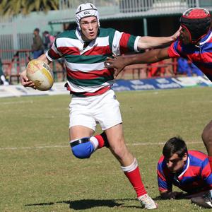 Polos de rugby