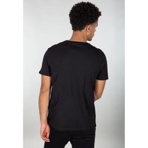 product/1/0/100501rr-03-alpha-industries-basic-t-rainbow-refl-print-004.jpg