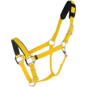 2001003-03-licol-pour-cheval-en-nylon-doublure-nubuck-daslo-jaune