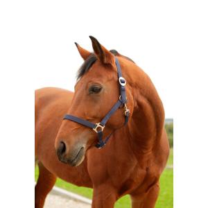 3222134-licol-nylon-xfull-kerbl-hippo-bleu-marine-xfull