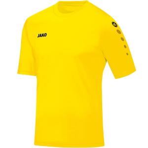 4233-u-03-maillot-jako-team-jaune-citron