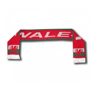 ech-nat-pga-echarpe-supporter-shop-pays-de-galles-blanc-vert-rouge-tu