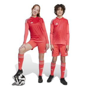 product/a/d/adidas_jc6205_8_apparel_on_model_standard_unisex_pair_shot_white.jpg