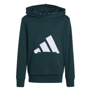jw3461-sweatshirt-a-capuche-enfant-adidas-essentials-aurivy-white