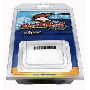 product/a/l/all-balls-racing_1107429_0.jpg