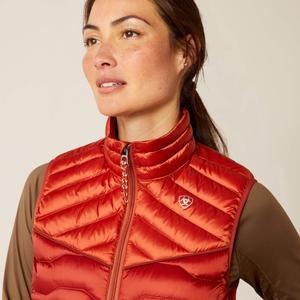 product/a/r/ariat_10046182_2.jpg