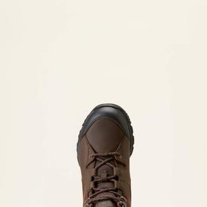 product/a/r/ariat_10046873_2.jpg