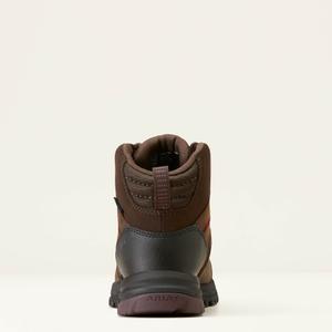 product/a/r/ariat_10046873_3.jpg