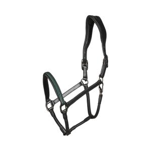 product/c/a/catago_41523001_black_1.jpg