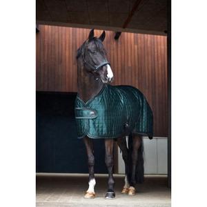 product/c/a/catago_41523001_black_3.jpg