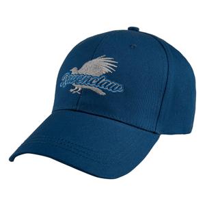 hpe61283-casquette-de-baseball-cinereplicas-harry-potter-bleu-tu