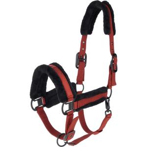 3231082-licol-pour-cheval-covalliero-rust