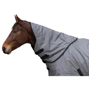 product/c/o/covalliero_3231197_steel-grey_2.jpg
