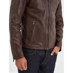 product/d/a/daytona-73-101843-bison-bison-3.jpg
