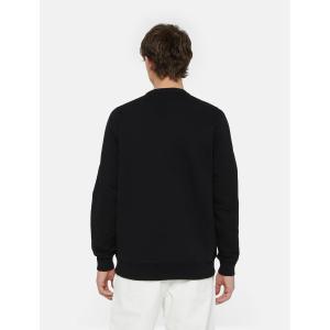 product/d/i/dickies_dk0a4xabj391_3.jpg
