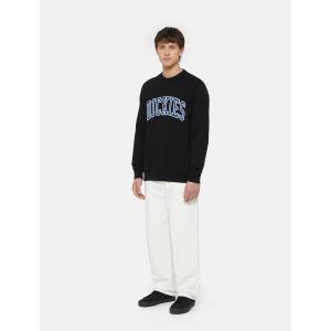 product/d/i/dickies_dk0a4xabj391_4.jpg