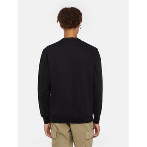 product/d/i/dickies_dk0a4xabj941_black-plum-perfect_4.jpg
