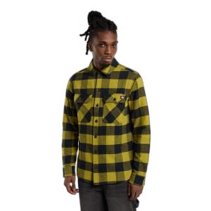 product/d/i/dickies_dk0a4xdzl201_evergreen-sprig_1.jpg