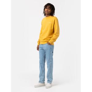 product/d/i/dickies_dk0a4xecc151_bleu_3.jpg