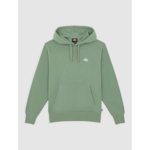 dk0a4y6pl191-sweatshirt-a-capuche-dickies-summerdale-sea-spray