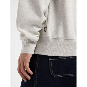 product/d/i/dickies_dk0a4y6qa281_light-gray_3.jpg