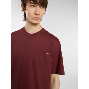 product/d/i/dickies_dk0a4yfcl161_andorra_3.jpg