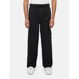 product/d/i/dickies_dk0a4z37blk1_black_3.jpg