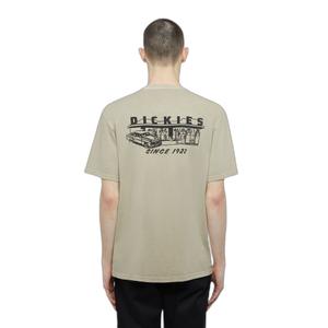 product/d/i/dickies_dk0a4z8x0ds1_desert-sand_1.jpg