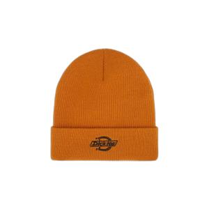 dk0a87ngk641-bonnet-dickies-summerdale-autumn-maple-tu