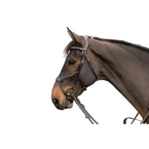 dyaba6brc-bridon-equitation-muserolle-combinee-anatomique-elastique-dy-on-hybride-brun
