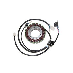 27079-alternateur-moto-adaptable-origine-electrosport-yamaha-argente-tu