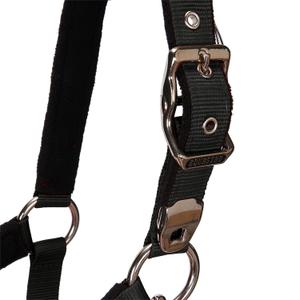 product/e/q/equestro_ca00032-black_black_5.jpg