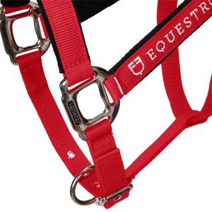 product/e/q/equestro_ca00032-red_red_7.jpg
