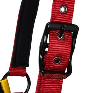 product/e/q/equestro_ca00512-black_red_yellow_black-red-yellow_3.jpg