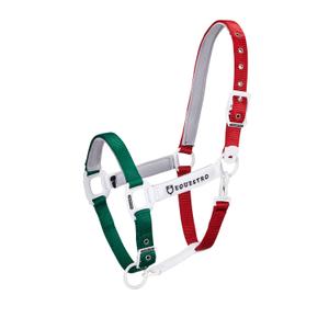product/e/q/equestro_ca00512-green_white_red_green-white-red_1.jpg
