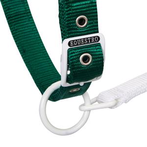 product/e/q/equestro_ca00512-green_white_red_green-white-red_4.jpg