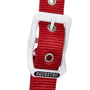 product/e/q/equestro_ca00512-green_white_red_green-white-red_5.jpg